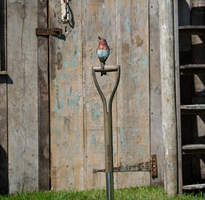 James Coplestone Robin and Spade Garden Sculpture